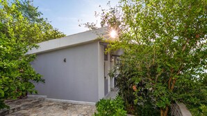 A modern building with a grey exterior, surrounded by lush greenery and a stone-paved entrance.