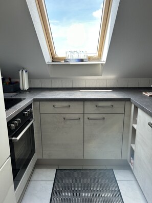 Fridge, oven, stovetop, dishwasher - 3-room DG apartment with roof terrace in the center of Magdeburg (MD)