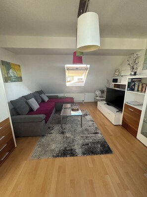 Smart TV, books - 3-room DG apartment with roof terrace in the center of Magdeburg (MD)