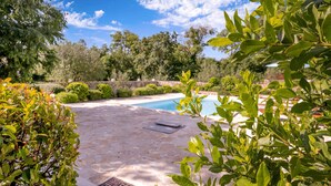A stone pool surrounded by lush greenery and trees.