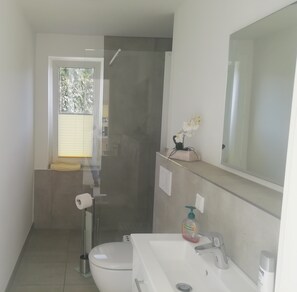 Douche, séchoir à cheveux, savon, papier de toilette