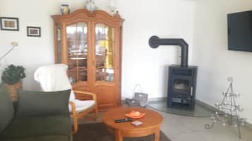 Una televisión, una chimenea, libros