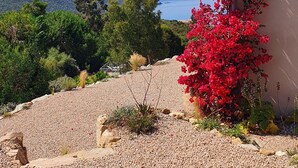 A garden with red flowers, a gravel path, and a view of the sea and hills.