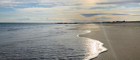 Playa
