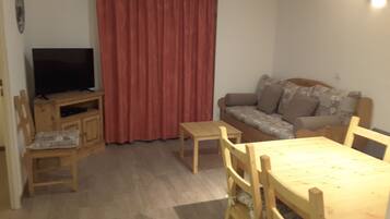 TV, DVD player, video library