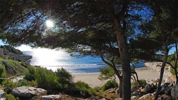 A coastal landscape with a rocky beach, a clear view of the sea, and a tree in the foreground. - Charming Villa of 150m2 with swimming pool and garden near sea (Carry-Le-Rouet)