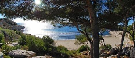 Plage à proximité