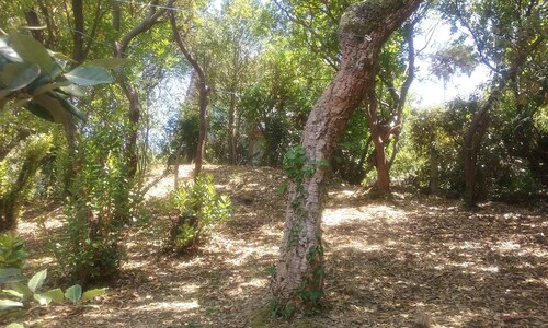 Garden level apartment, for 5 persons, beach et lake 5 min away, great amenities