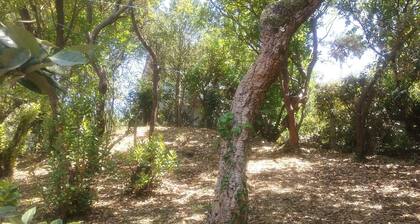 Garden level apartment, for 5 persons, beach et lake 5 min away, great amenities