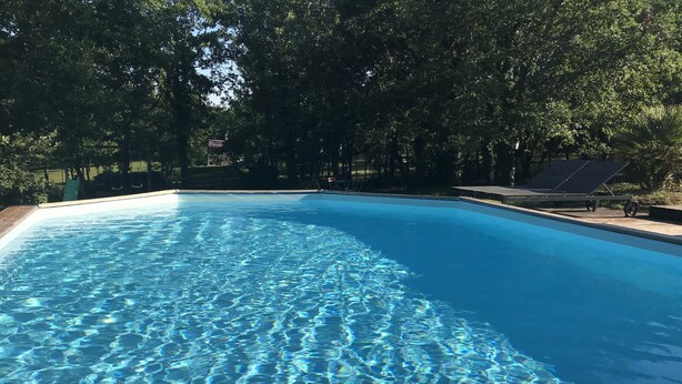 Une piscine aux eaux cristallines, entourée d’arbres.