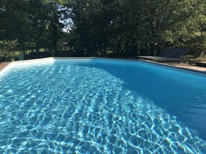 En klar och ren pool omgiven av träd.