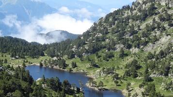 A mountainous landscape with a lake surrounded by dense forests and rocky terrain.