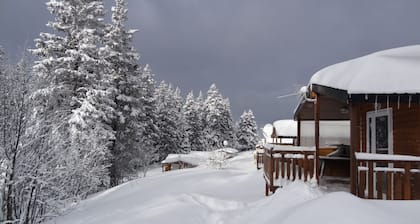 CHALET DES CIMES CHAMROUSSE /MEUBLĂ© DE TOURISME 3* / PROCHE DEPART DES PISTES
