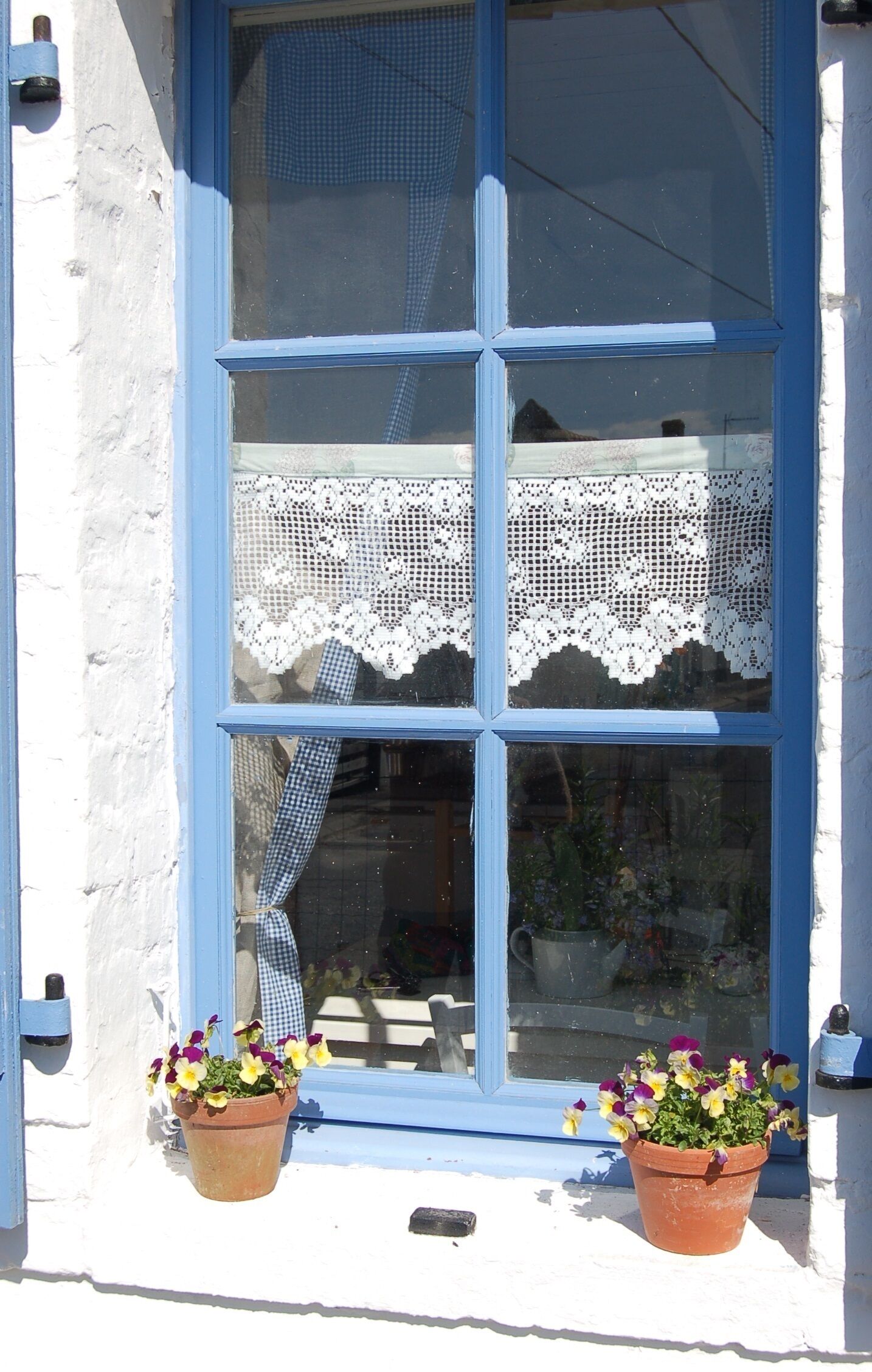A window with blue trim, white lace, and two potted plants with flowers.