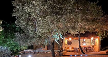 Mas de caractère en Provence, rock-side pool, ideal for large families