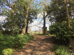 المنطقة المحيطة بالمنشأة