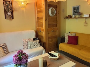 Télévision, lecteur de DVD, livres