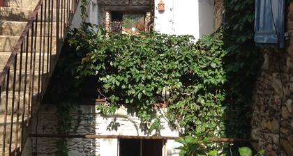 "Les Voûtes" Gßte dans maison de carractÚre XVIIIÚme Jardin, piscine