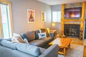 Smart TV, fireplace, DVD player, books