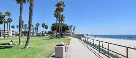 On the beach, sun-loungers, beach towels