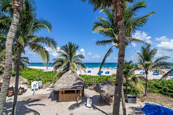 On the beach - Ocean View 1/1 25% Off in Palm Beach Resort and Spa on Singer Island (Singer Island)