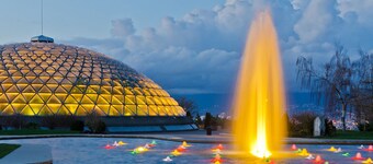 Kitsilano Oasis: King Bed • Quiet • Spotlessly Clean • Garden • Fireplace