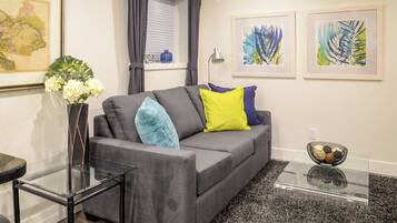 智能电视、壁炉