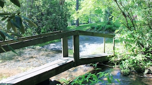 Un puente de madera sobre un arroyo cristalino rodeado de abundante vegetación.