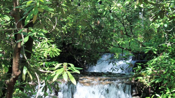 Una cascada natural rodeada de vegetación densa.