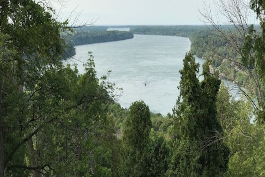 Ein Fluss, umgeben von dichtem Wald.