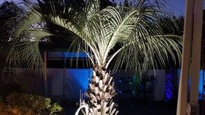 A palm tree with a white bird sculpture in a garden at night.