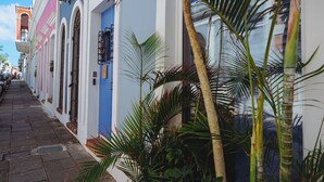 Una calle estrecha bordeada de edificios coloridos, algunos con balcones y ventanas, y una palmera en primer plano.