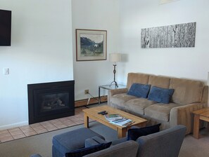 Televisión, chimenea, reproductor de DVD y libros 