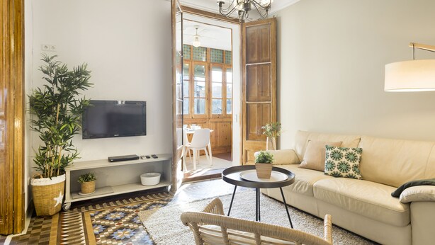 A living room with a sofa, a TV, a coffee table, and a plant. - The Classic Apartment (Barcelona)