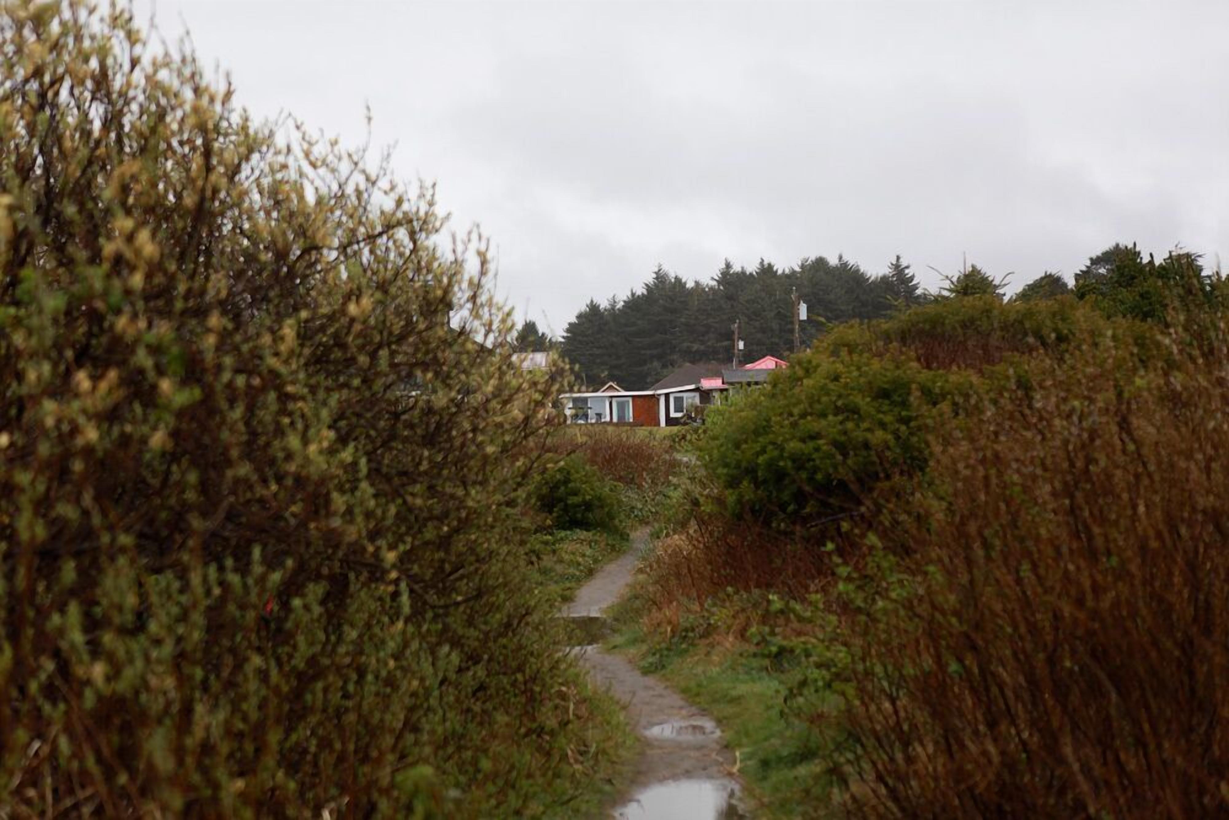 Ein schmaler Pfad führt zu einem Haus, das von dichter Vegetation umgeben ist.