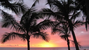 Una spiaggia con palme al tramonto.