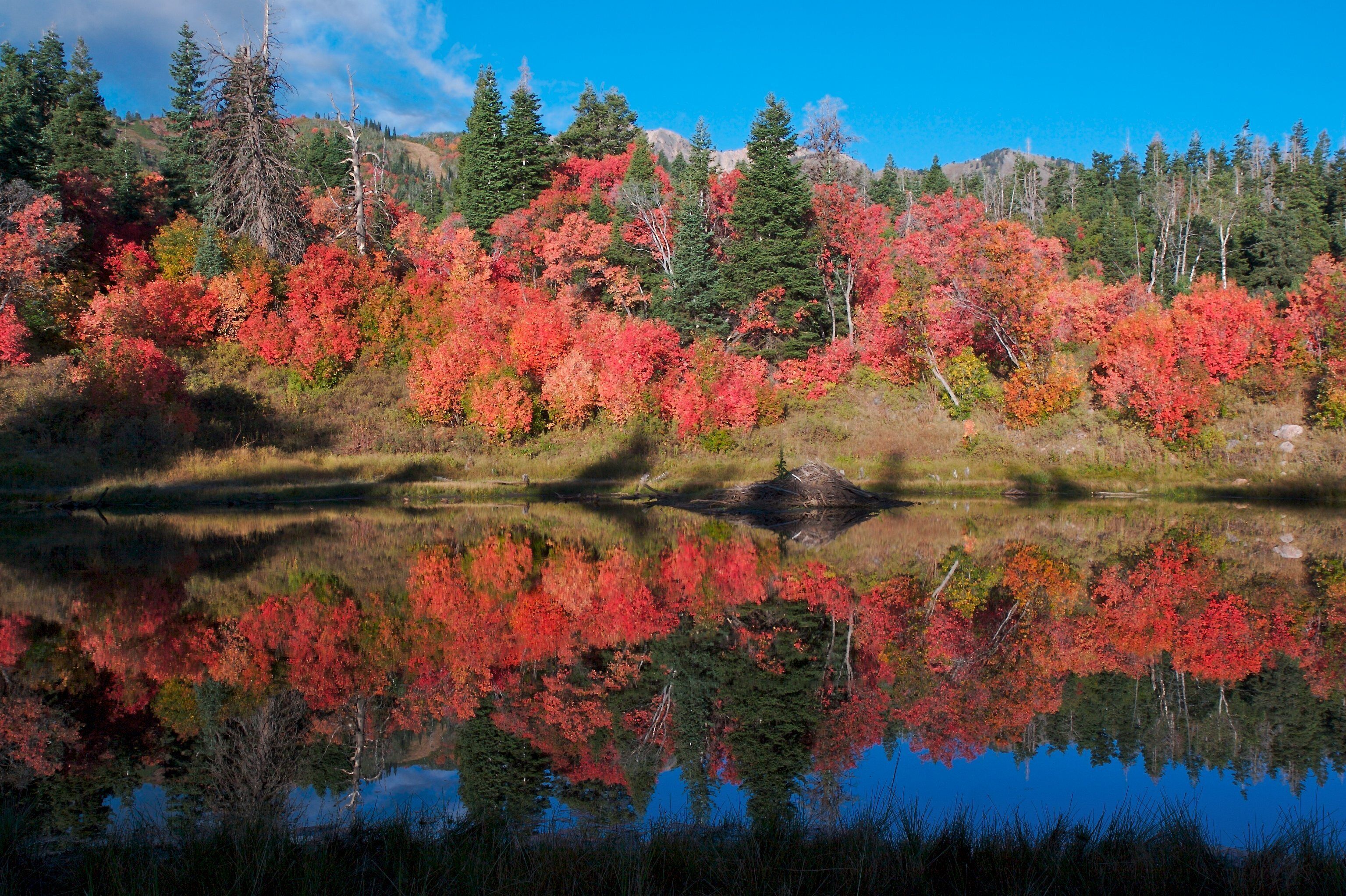 A serene lake surrounded by autumn foliage with reflections of trees.