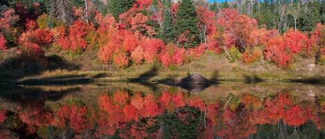 A serene lake surrounded by autumn foliage with reflections of trees.