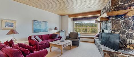 Fernseher, Kamin, DVD-Player