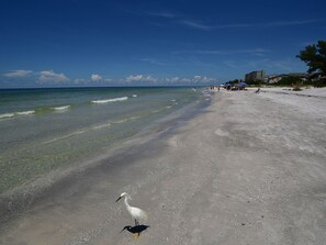 Beach nearby, sun loungers