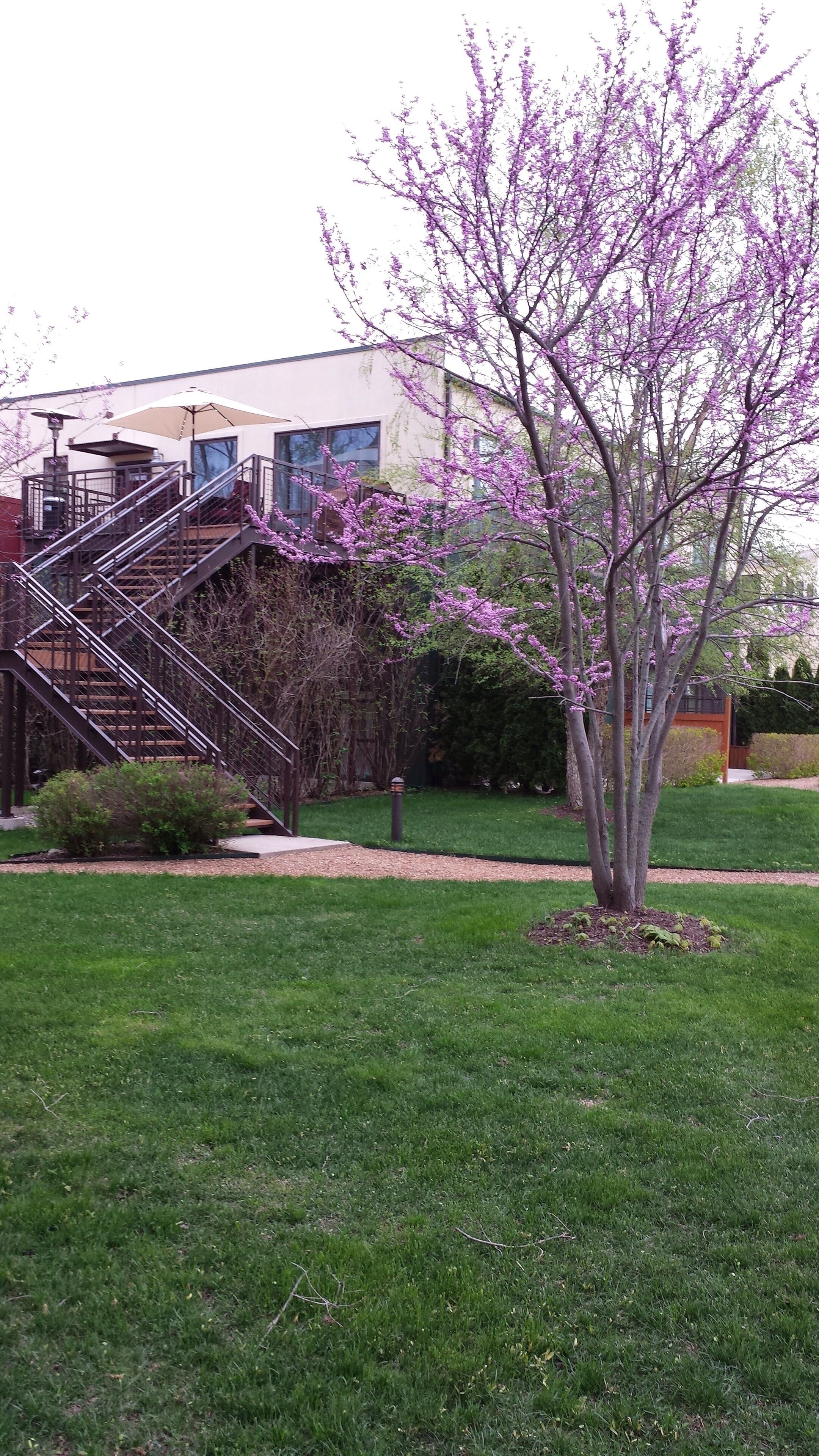 Enceinte de l’hébergement