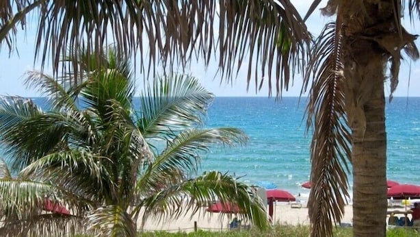 Une plage bordée de palmiers, avec vue sur l’océan.