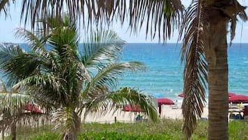 En la playa y camastros