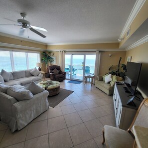 TV, fireplace, DVD player, books