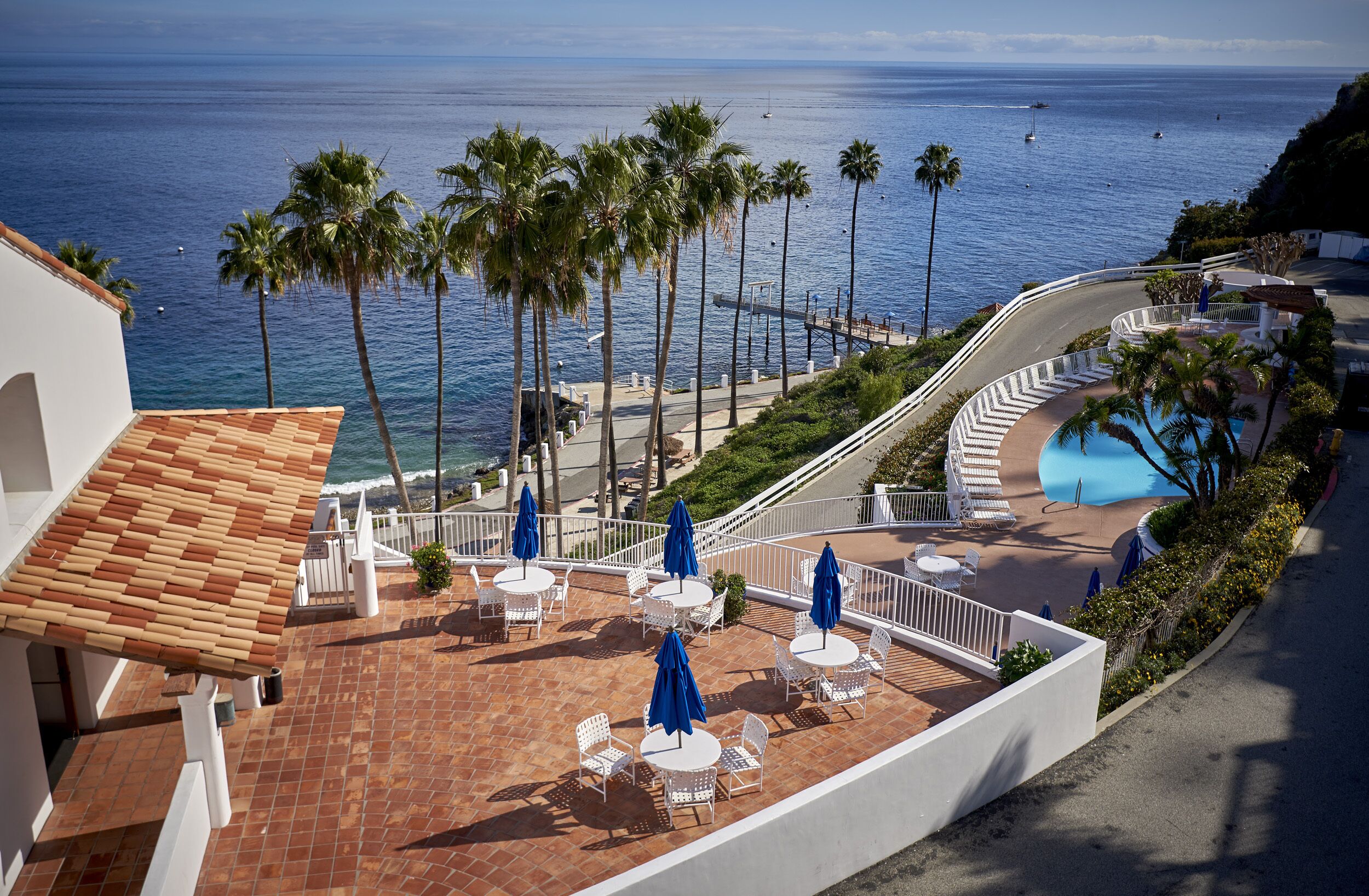 A rooftop terrace with a pool, palm trees, and ocean views.