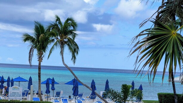 Una playa con sombrillas azules, sillas de descanso y palmeras.