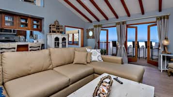 Télévision, cheminée, jeux vidéo, lecteur de DVD