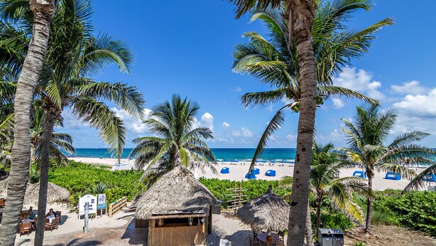 A beachside view with palm trees, a thatched-roof hut, and a beach with blue umbrellas. - 25% off Spacious Oceanview condo in Palm Beach Resort and Spa unit 1709 (Singer Island)