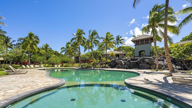 A swimming pool with a curved design, surrounded by palm trees and a small pavilion.