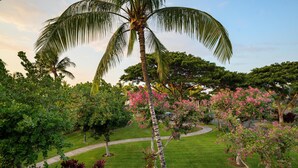 A lush garden with a palm tree and pink flowering trees, a winding path, and a well-maintained lawn.